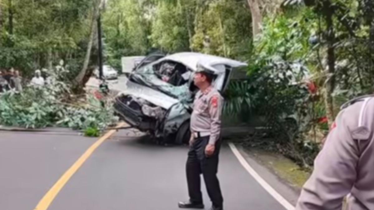 峇里島重大車禍!陸遊客「5死8傷」 小巴墜溝車頭全毀