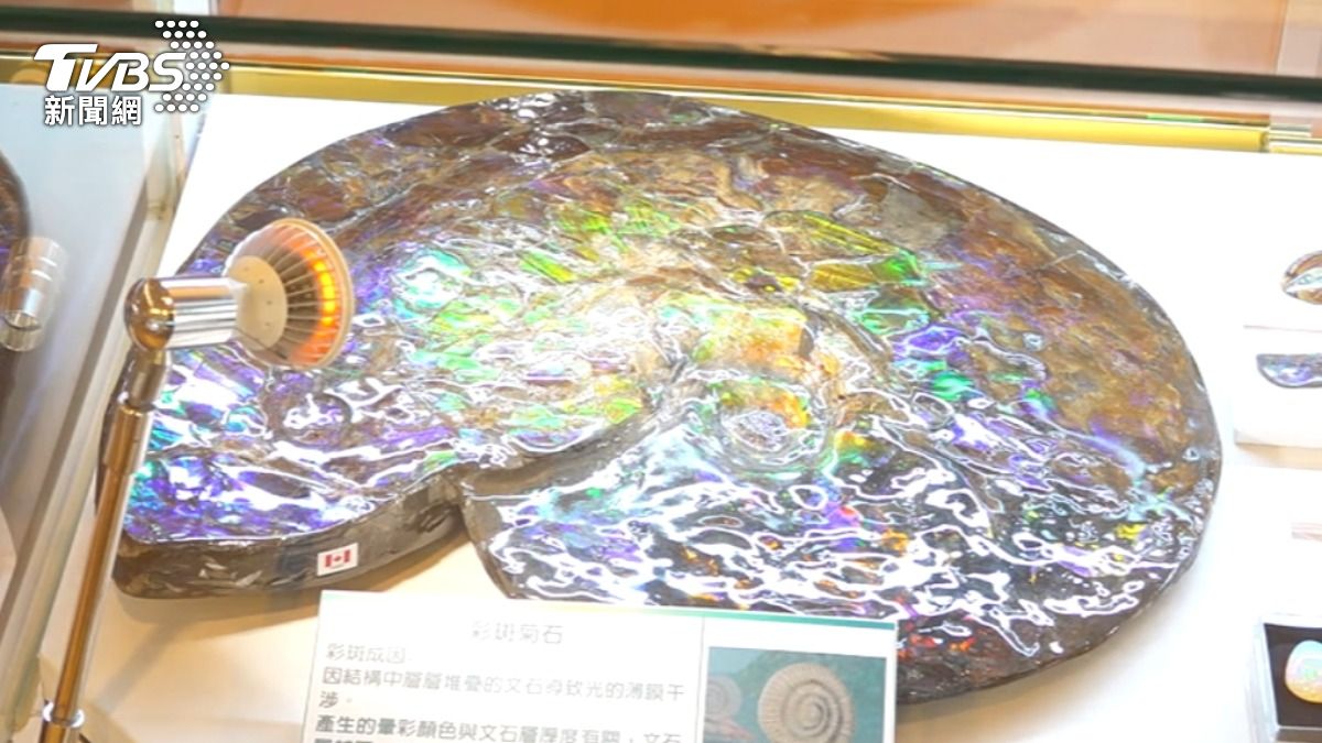 礦物展的主題是彩斑現象石。（圖／TVBS）