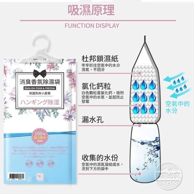 除濕包、掛袋、集水袋到除濕桶，最大的魅力就在於「看得到效果」。（圖／momo購物網）