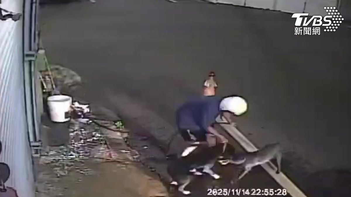 高雄市仁武區一名狗主人帶著未繫繩的比特犬散步時,犬隻攻擊路邊一隻黑狗時間長達近10分鐘。(圖/TVBS)