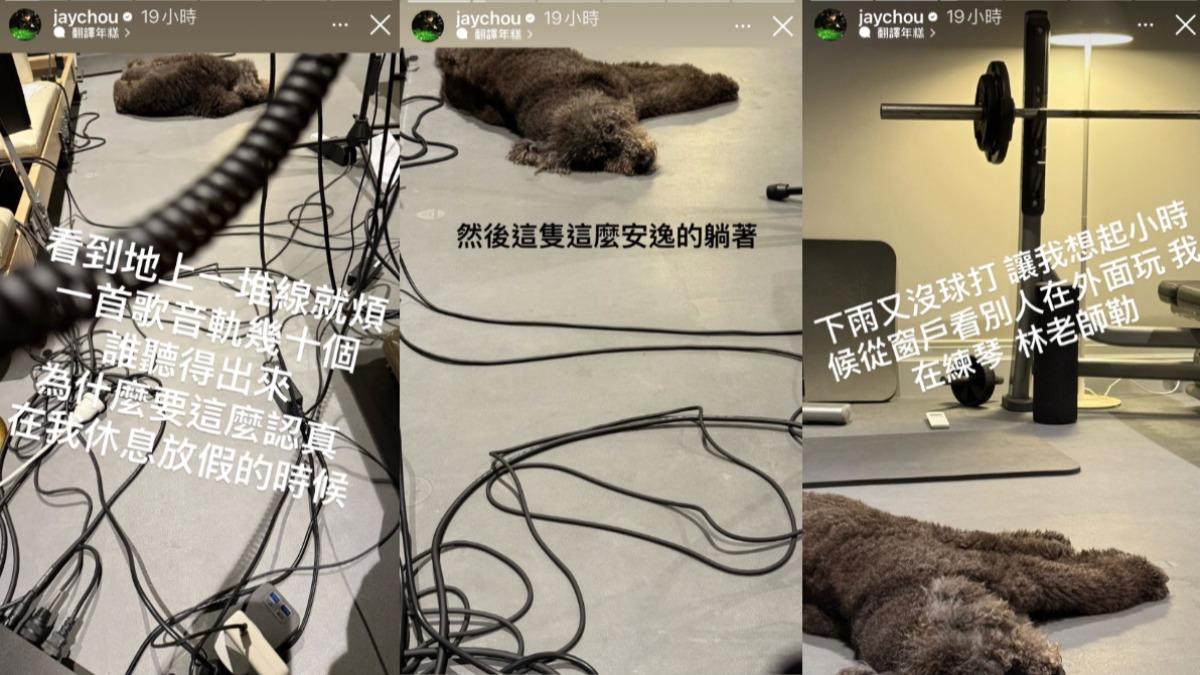 周董做音樂忍不住大抱怨,甚至羨慕狗狗躺得很安逸。(圖/翻攝自周杰倫IG)