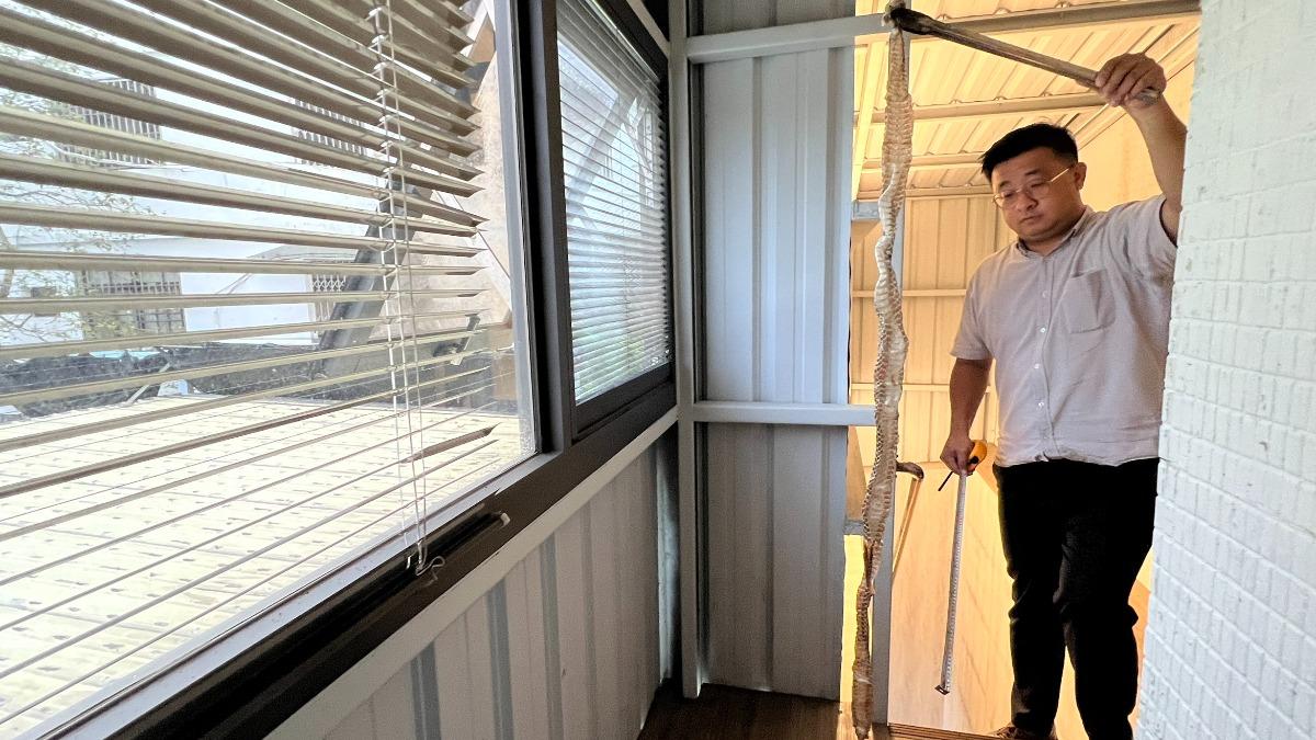 辦公室驚見完整蛇皮 員工緊繃上班:腳麻 好怕牠還在室內