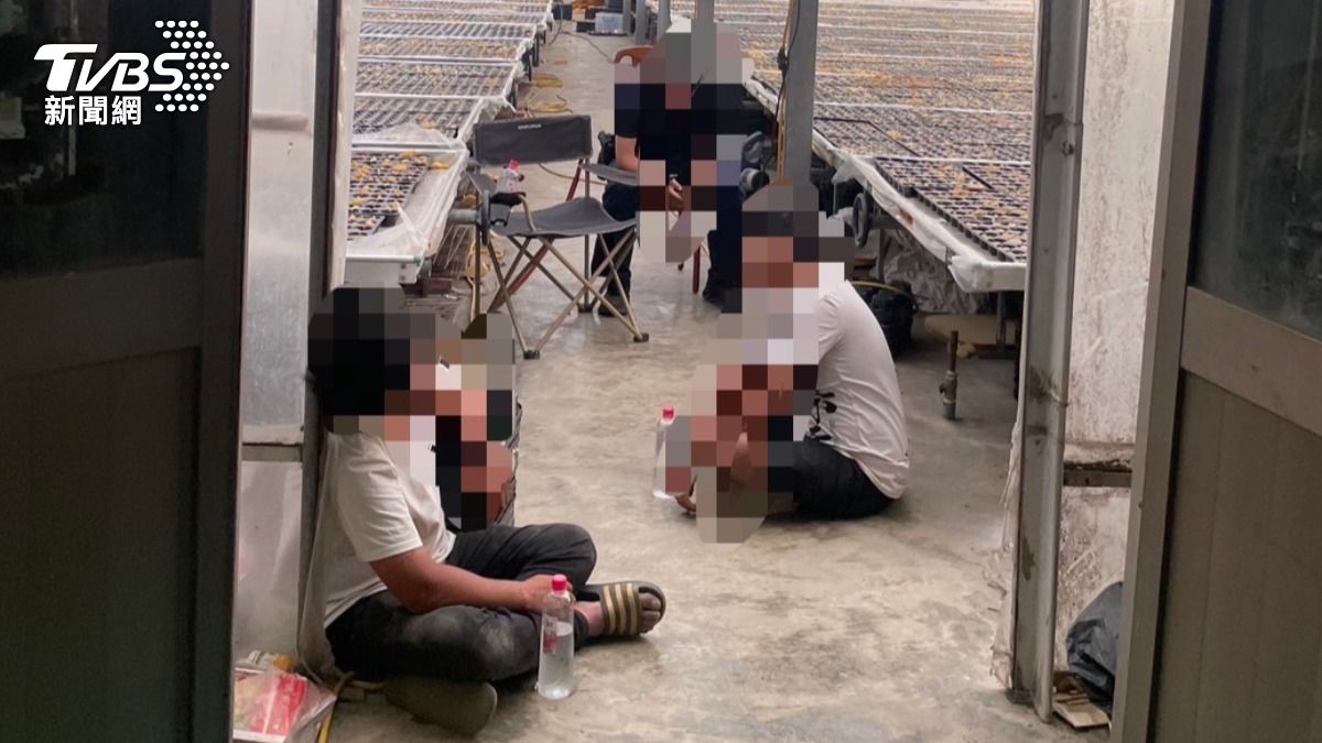 3人遭拘禁在蘭花工寮。（圖／TVBS）
