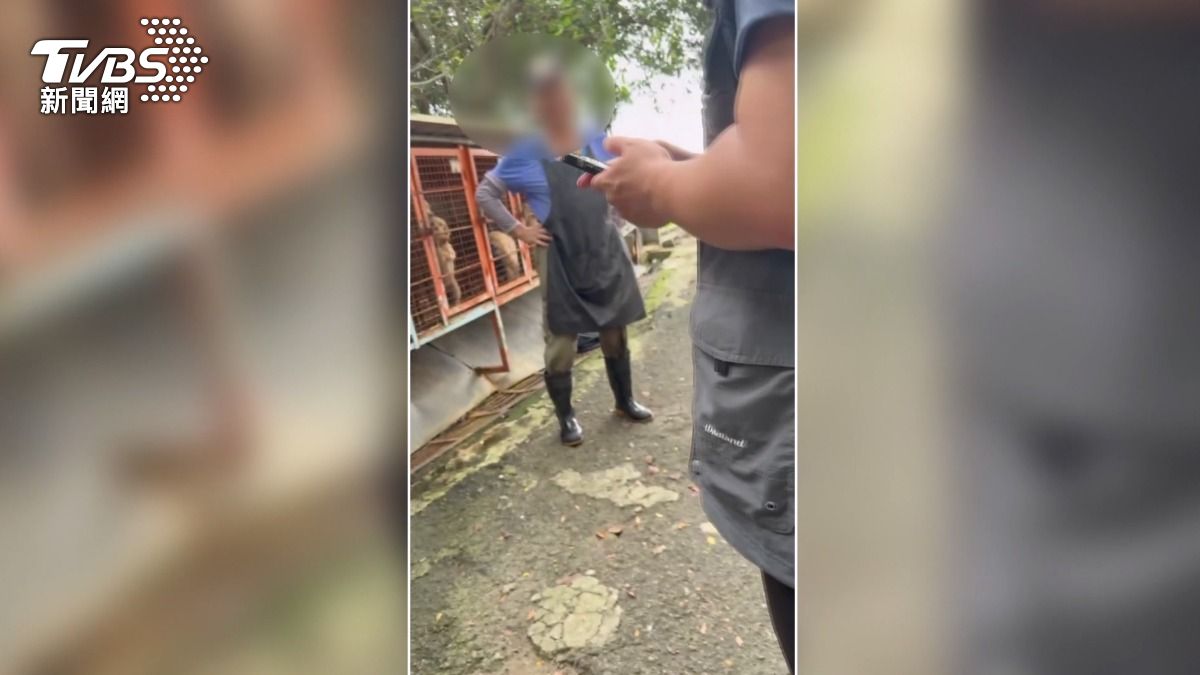 此事件引發動保人士強烈抗議。(圖／民眾提供)