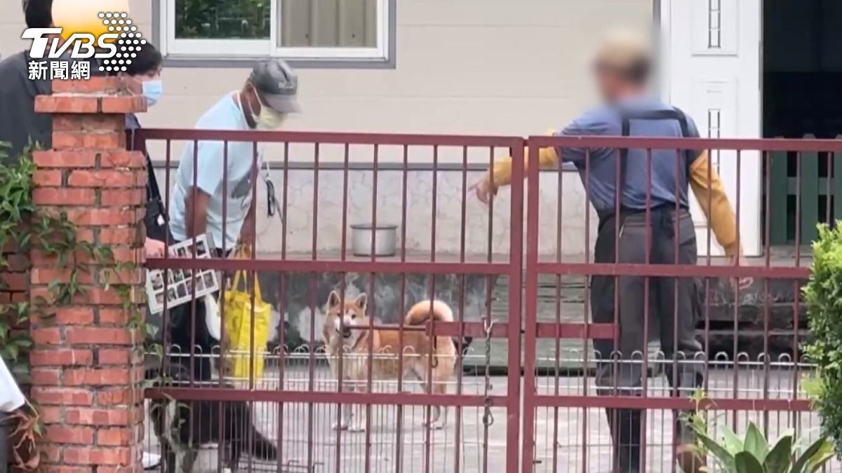 苗栗縣府也規劃在收容所旁增設「陽光樂園」讓籠內的犬隻能夠奔跑、曬太陽，重新感受自由。(圖／TVBS)