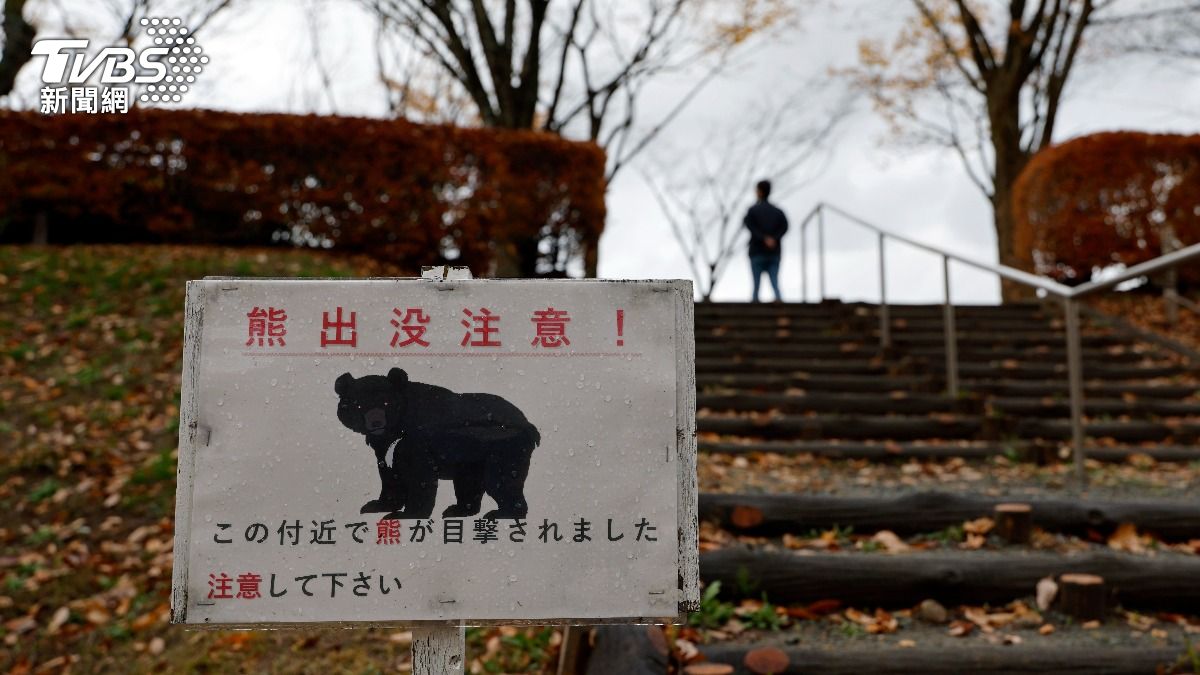 日本近期野熊出沒事件頻傳。(示意圖,與本文無關/達志影像歐新社)