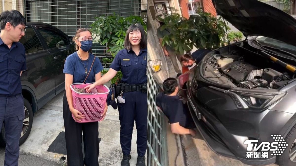 汽車一直喵喵叫?引擎撈出「大胖貓」 飼主找回牠喜極而泣