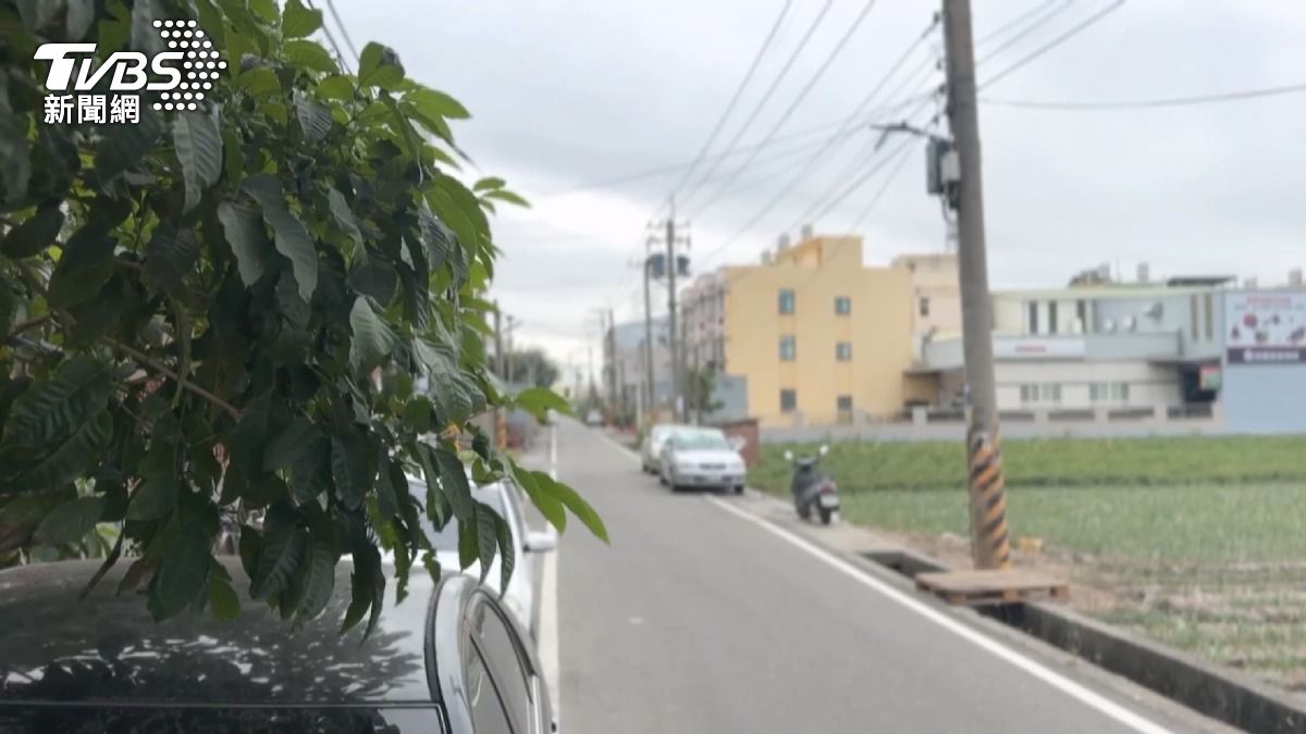 酒後失控！虎尾男大街狠踹亡兄女友　只因她不搬家。(圖／TVBS)