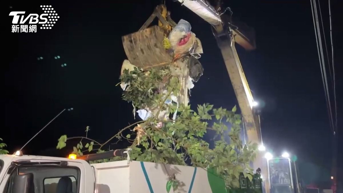 環保局研判這些垃圾與先前燕巢月世界垃圾棄置案件為同一犯罪集團所為。(圖/TVBS)