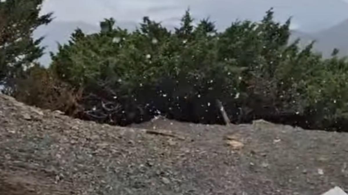 中午12時25分許玉山氣象站降下初雪。（圖／翻攝中央氣象署臉書）