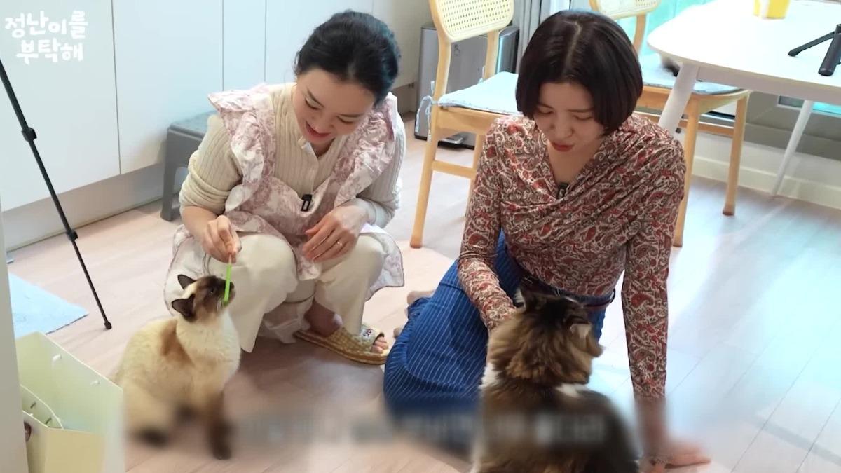 金貞蘭在自己的YouTube頻道透露因為「迷走神經性昏厥」暈倒。(圖/翻攝YouTube)