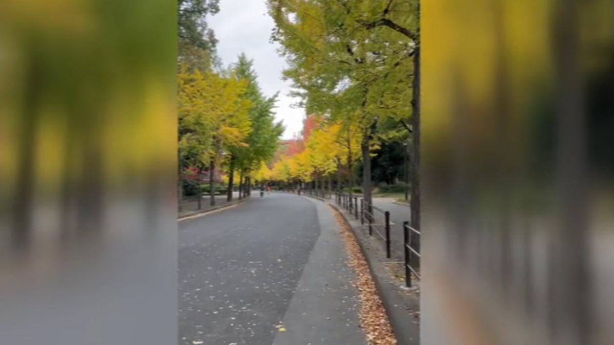 日本景點人潮減少。(圖/民眾提供)