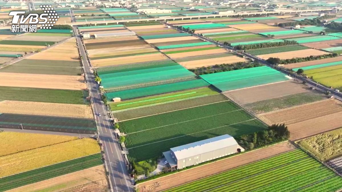 台灣農地如夢幻北海道！雲林彩色拼圖「從空中俯瞰」嘆為觀止。(圖／TVBS)