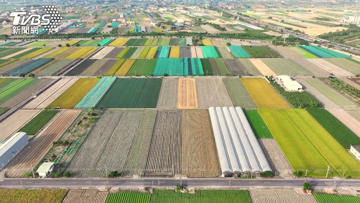 飛行在120公尺的高空，雲林農地的長條型色塊拼湊出一幅壯麗的大地畫布。(圖／TVBS)