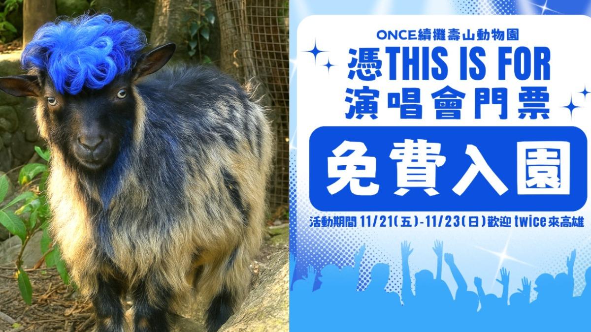 動物用AI換上藍色裝扮，搭上TWICE應援熱潮。（圖／Shou Shan Zoo 壽山動物園臉書粉專）