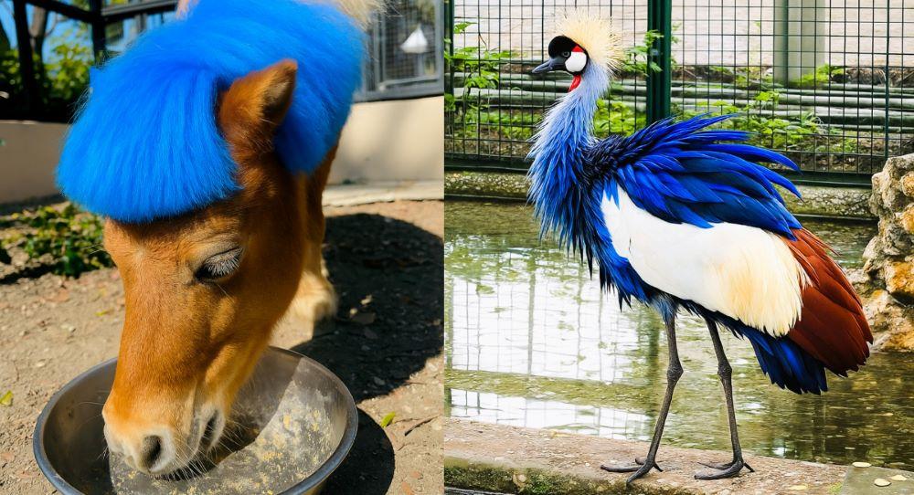 用AI合成為動物染上藍色毛髮,沒有任何動物受到傷害。(圖/Shou Shan Zoo 壽山動物園臉書粉專)