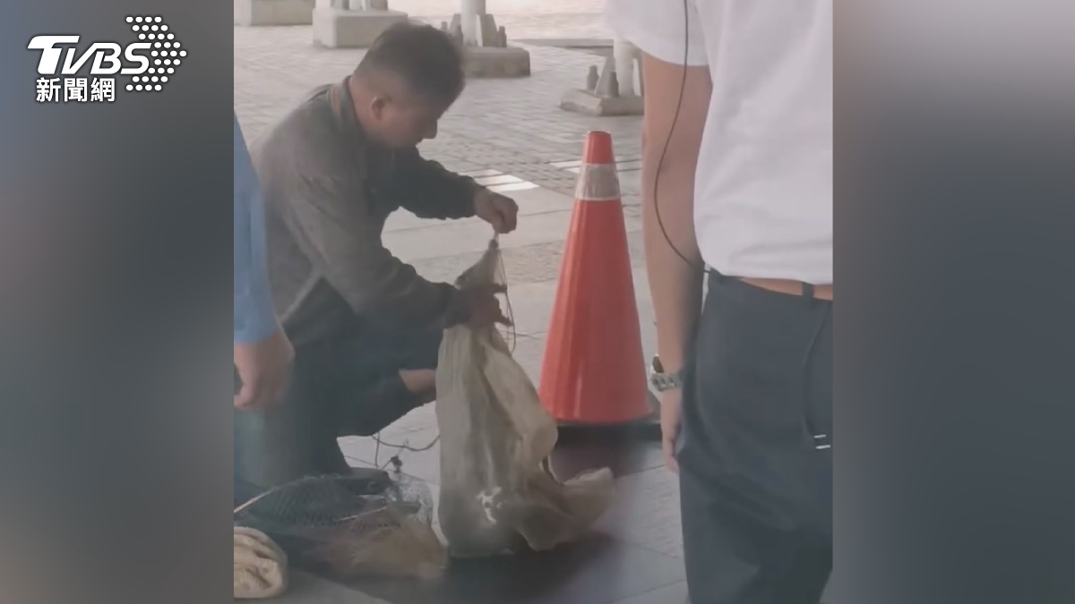圍觀民眾表示，起初不知道發生什麼事，後來才發現原來是在捕捉一隻特別大的鳥。（圖／翻攝Threads_tsai_paul_egg）