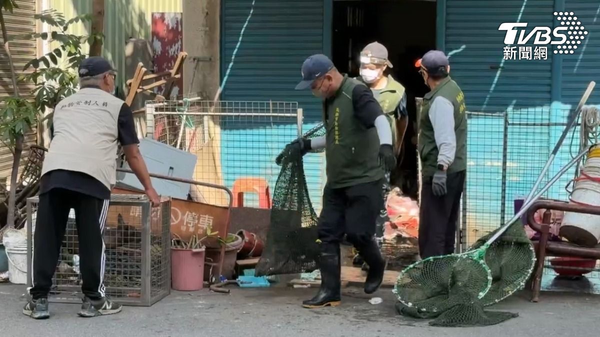 打開鐵門，滿屋子雜物，動保處人員寸步難行，將屋內的犬隻陸續抓出，接下來這些狗狗都要被動保處安置，在收容所開放領養（圖／TVBS）