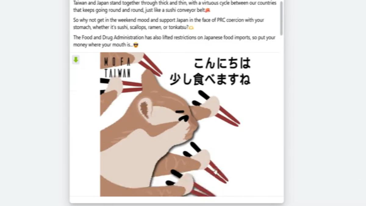 外交部製作貓咪迷因圖卡（圖／外交部臉書）