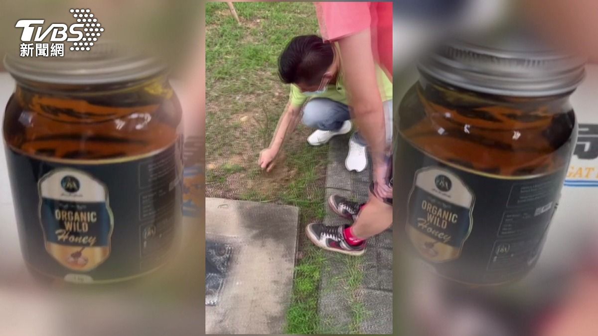 「藏大麻」蜂蜜入境引關注!台中公園挖出54張毒郵票,市值驚人。(圖/TVBS)