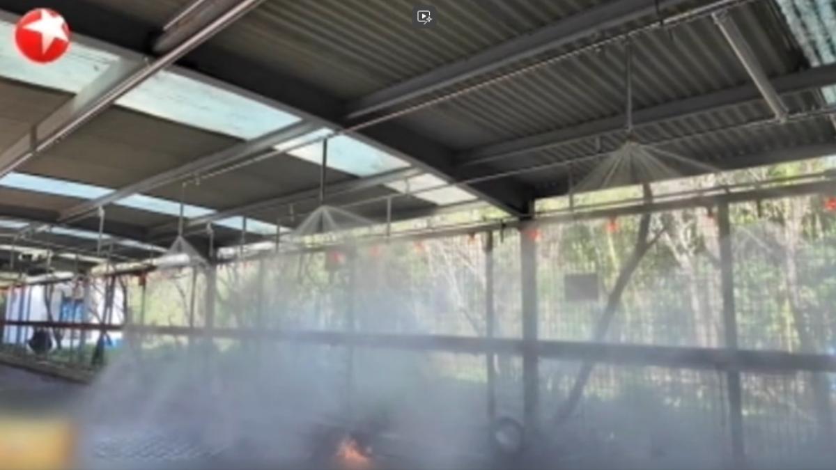 上海首款鋰電池自動滅火系統,能在鋰電池起火後不到10秒自動啟動噴淋裝置。(圖/上海東方衛視)
