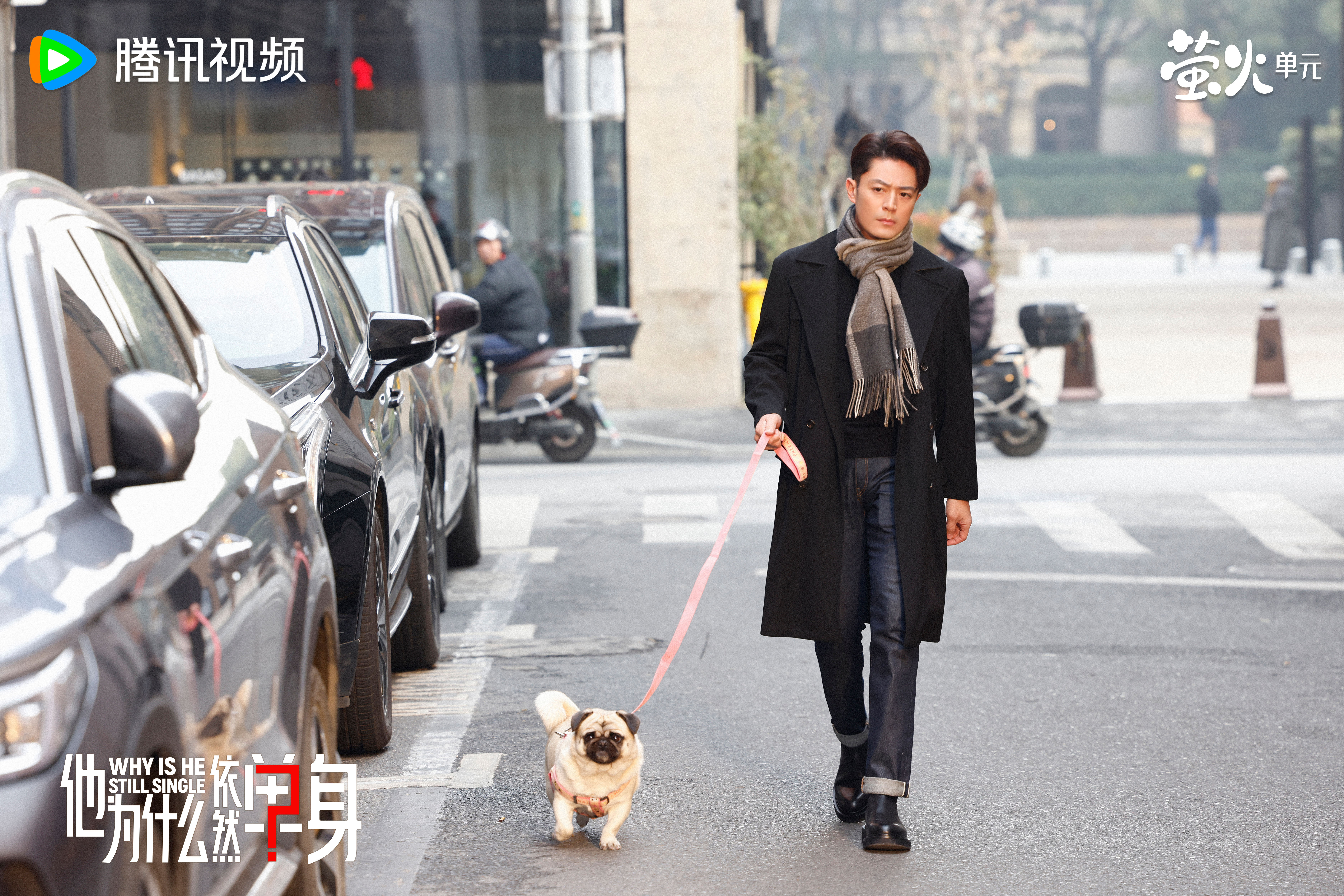 霍建華新戲中出現的巴哥犬成為一大亮點。(圖/翻攝自微博)
