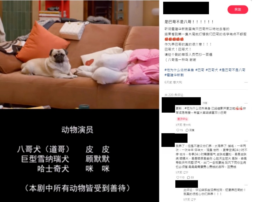網友截圖糾正《他為什麼依然單身》片尾字幕將「巴哥」打成「八哥」。(圖/翻攝自微博)