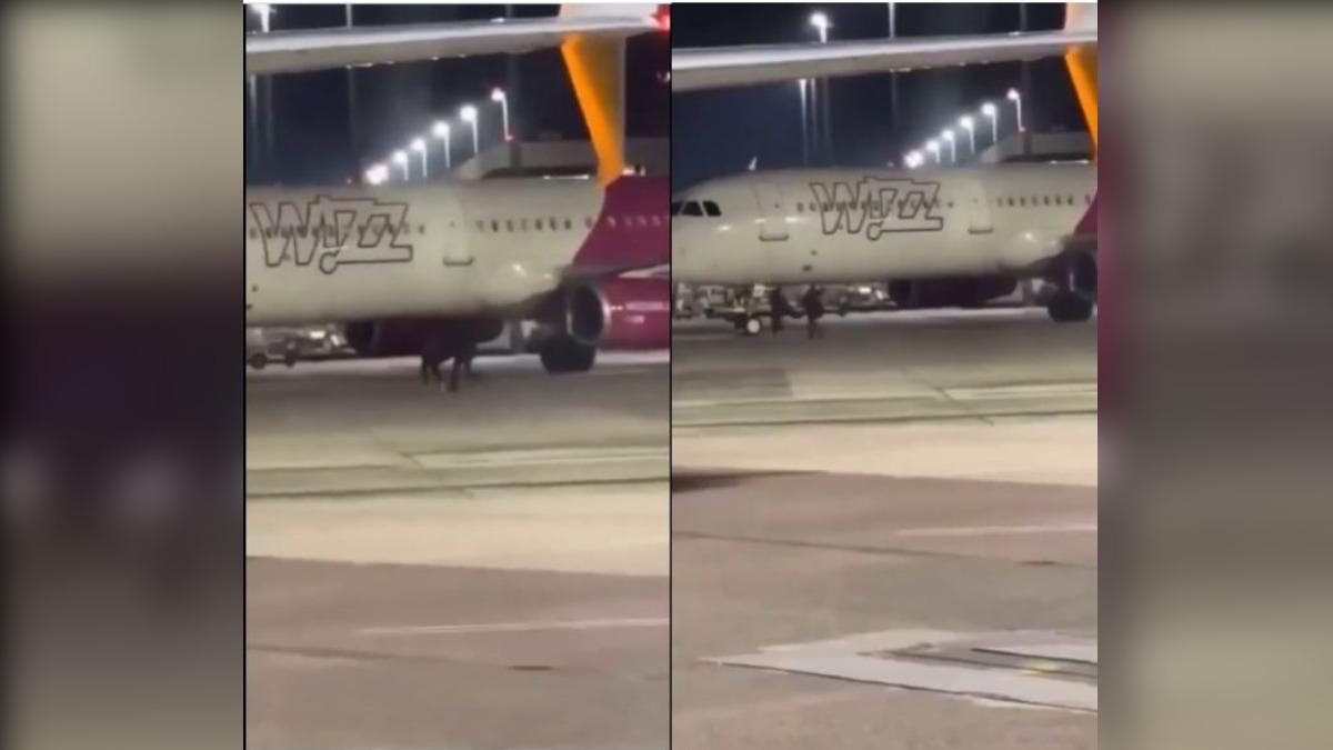 2男因趕不上飛機強闖跑道試圖攔機。（圖／翻攝X@aviationbrk）