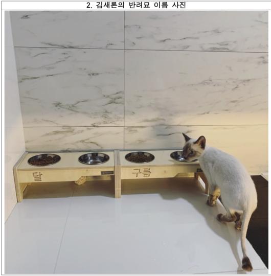 金賽綸朋友透露因為金秀賢演出作品,金賽綸連貓的名字都改了。(圖/翻攝自OSEN)