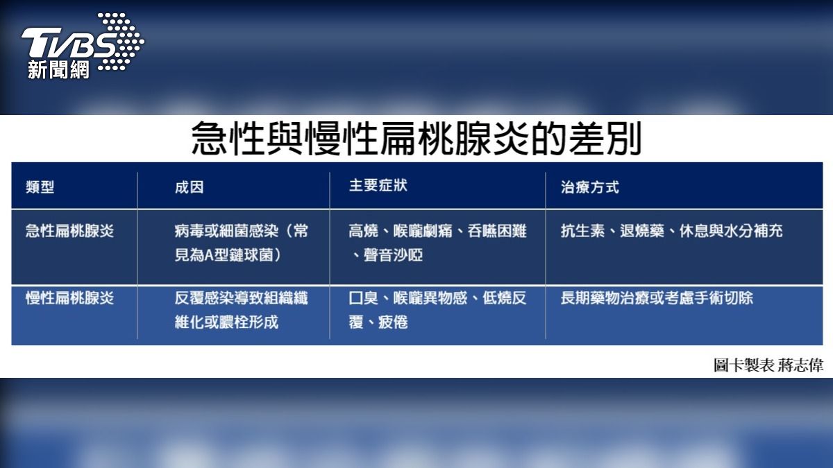 急性與慢性扁桃腺炎的差別 (圖卡製作/蔣志偉)