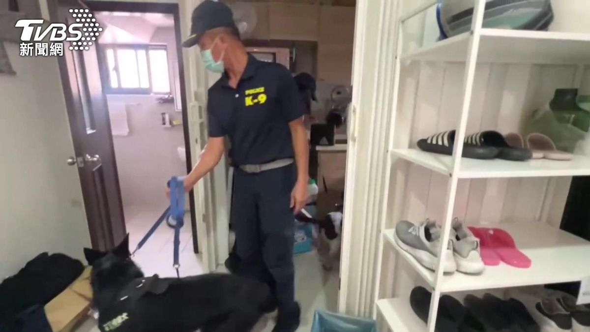警方出動緝毒犬協助搜查,仔細嗅聞可能的藏毒位置。(圖/警方提供)