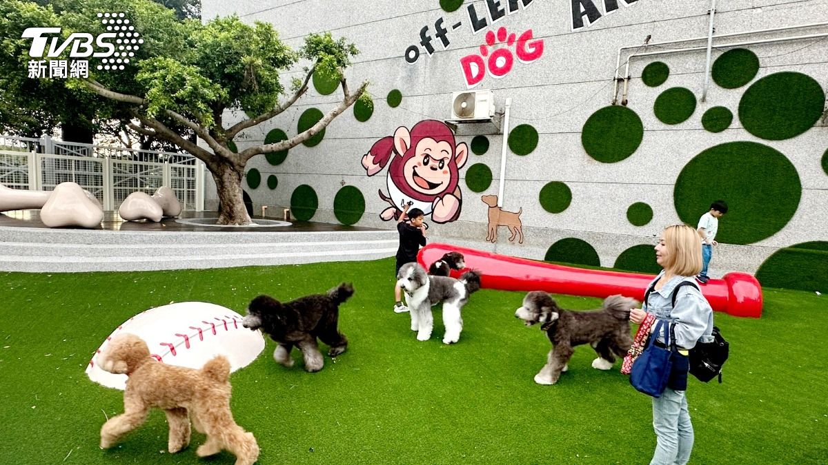 全台唯一！樂天桃園棒球場寵物樂園歡樂時段免費開放