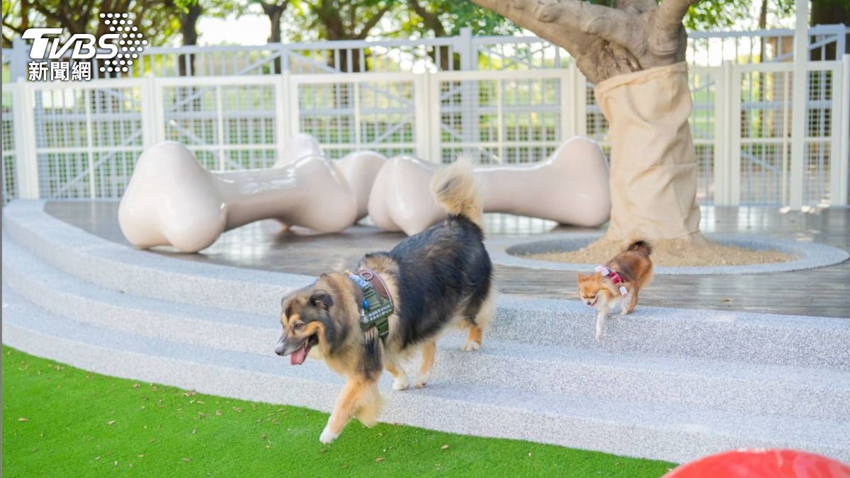 樂天桃園棒球場寵物樂園 Happy Hour 免費開放（圖／桃園市農業局提供）