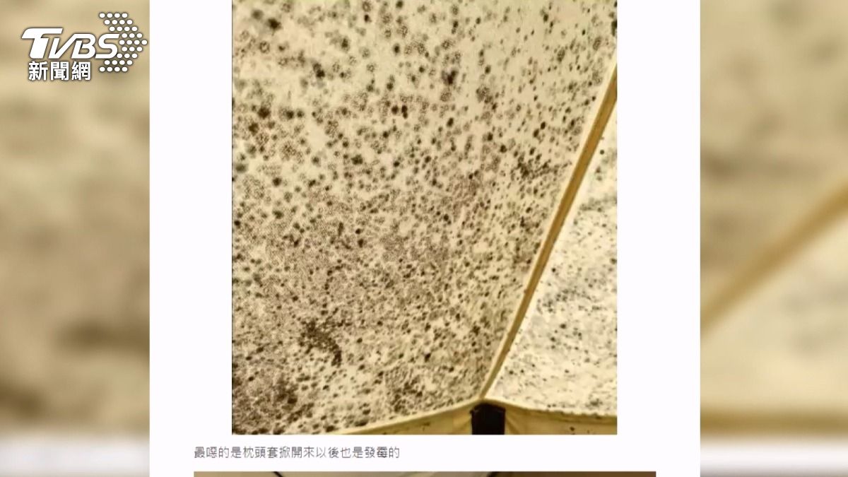 該露營區在2022年曾遭民眾投訴帳篷與枕頭套發霉,業者稱是舊照片被人重複爆料。(圖/資料畫面)