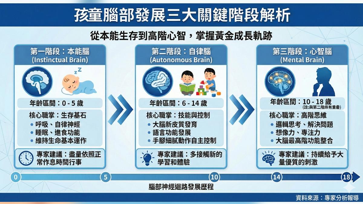 孩童腦部發展三大關鍵階段。（圖／ＡＩ生成)