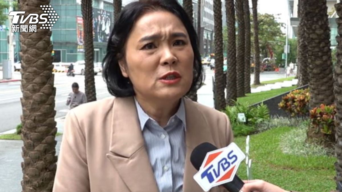 國民黨立委 陳玉珍。(圖/TVBS)