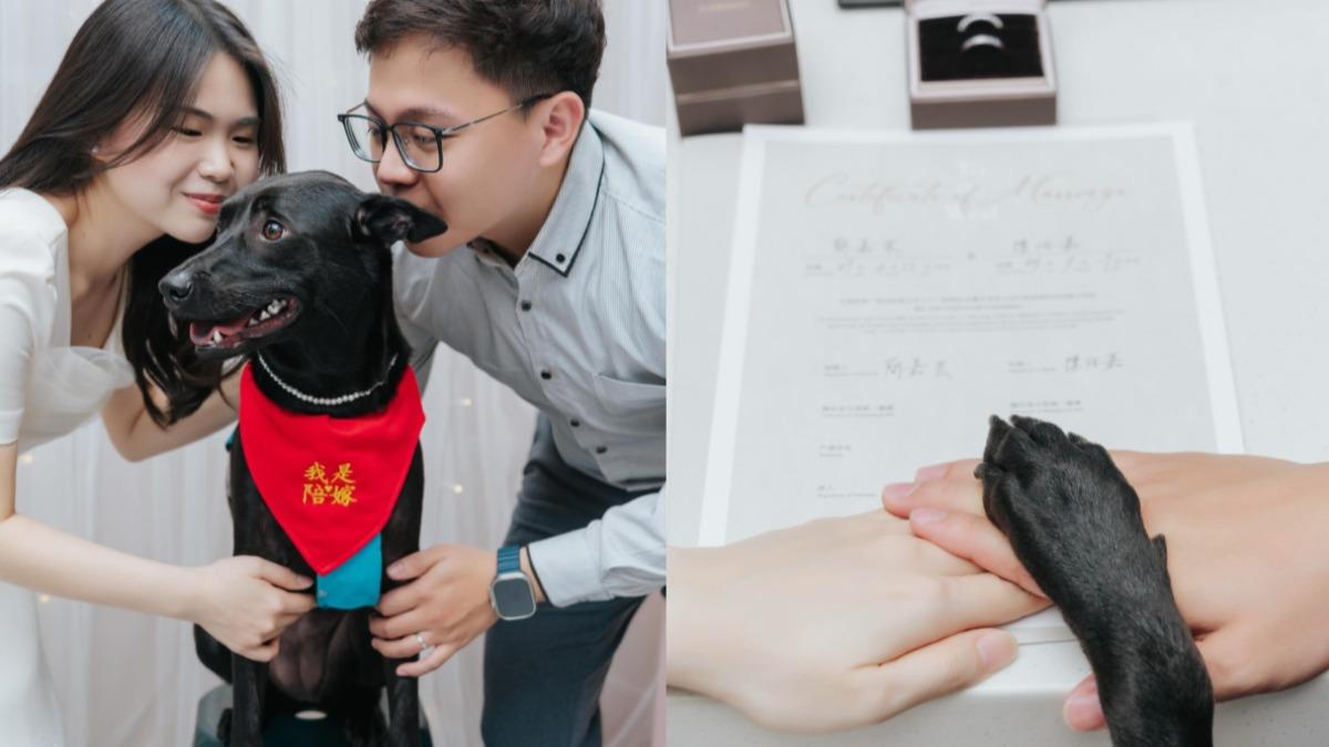 簡嘉芸完成人生大事,不忘帶著愛犬參與。(圖/翻攝自簡嘉芸Threads)