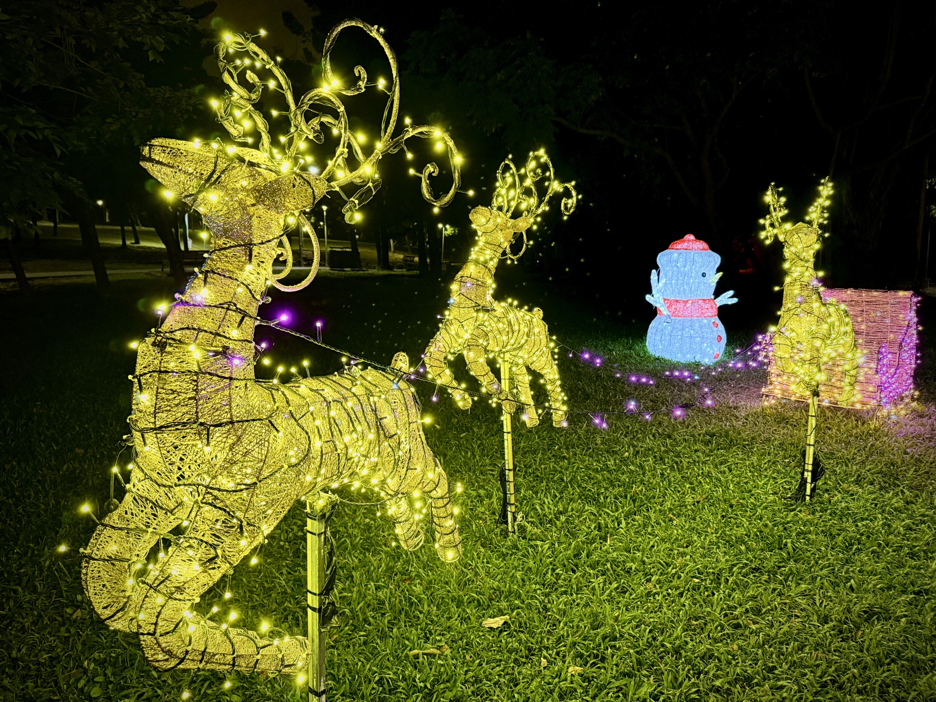 ▲大安森林公園「聖誕奇境」燈區,以聖誕老人、麋鹿、禮物盒及燈串等元素妝點,透過光影及樹影交織而成浪漫場域。(圖片來源:臺北市政府)