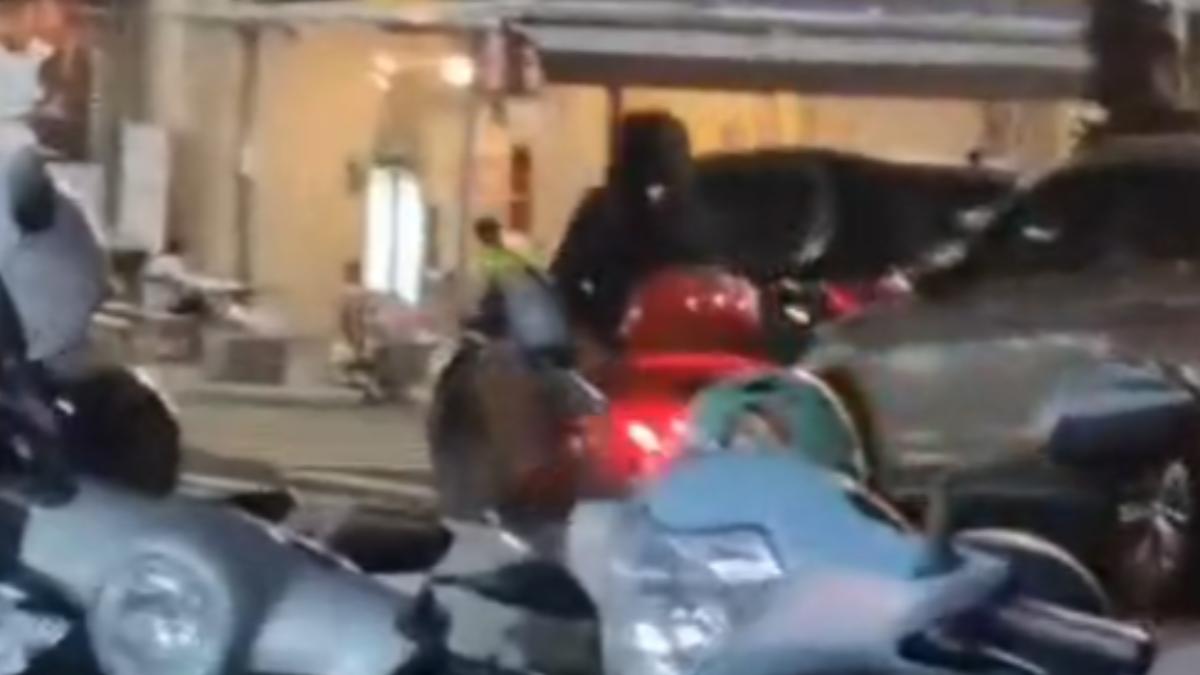 高雄突響空襲警報!竟是騎士播放惡搞 引居民恐慌警出手了