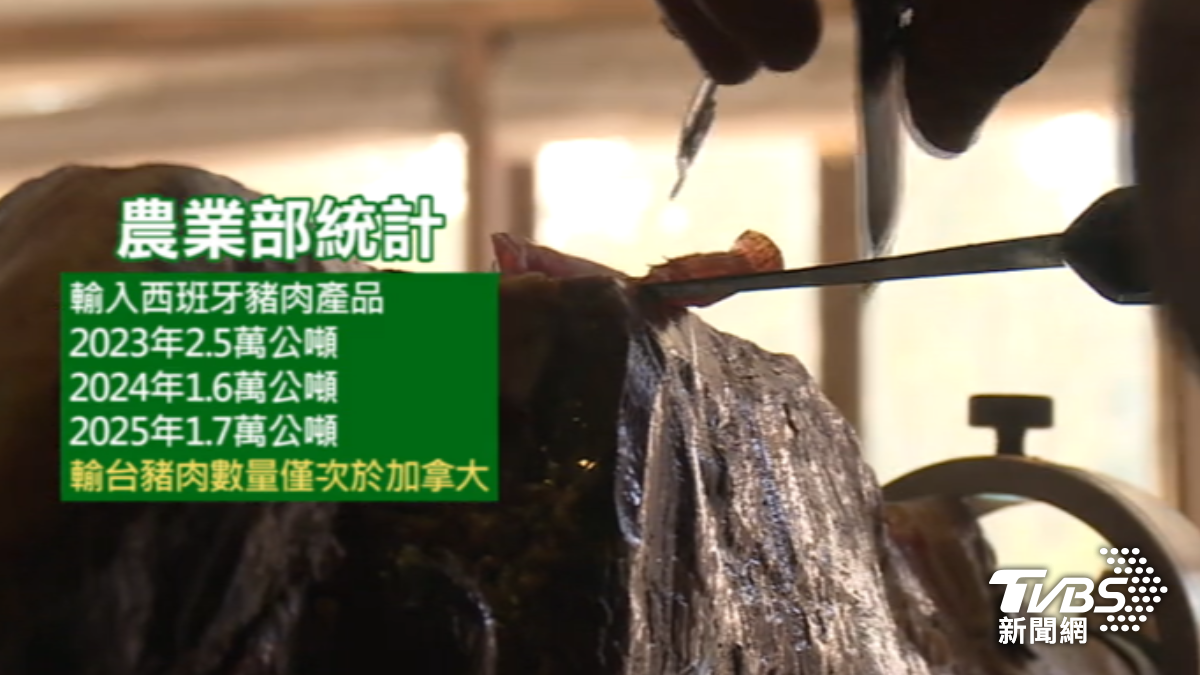 西班牙輸台豬肉數量僅次加拿大。（圖／TVBS）