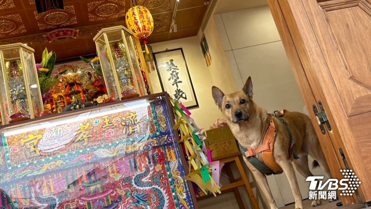 新北市三重區宮廟系咖啡，整間店古色古香。（圖片來源／奉捌弍臉書）