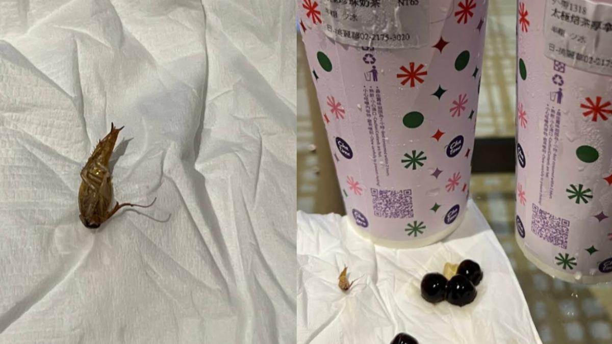 喝珍奶竟「吸出整隻蟑螂」！客怒控：噁心到嘔吐　日出茶太急消毒