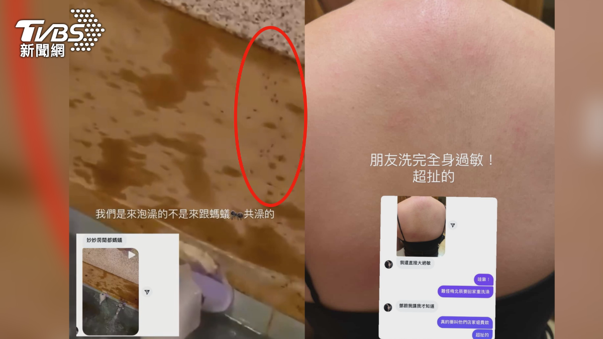 床上有餅乾屑、浴池爬滿螞蟻,民眾泡湯傻眼,業者出面了。(圖/當事人提供)