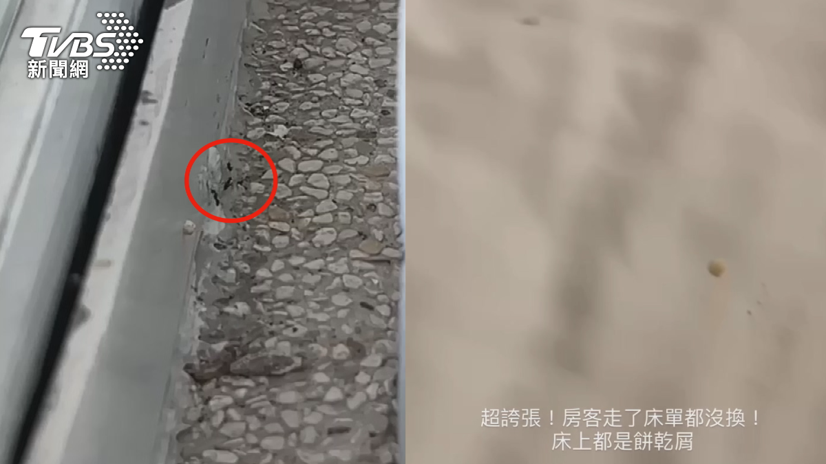 民眾到湯屋住宿旅遊,不僅浴池爬滿螞蟻,清潔服務也不佳,讓人敗興而歸。(圖/當事人提供)