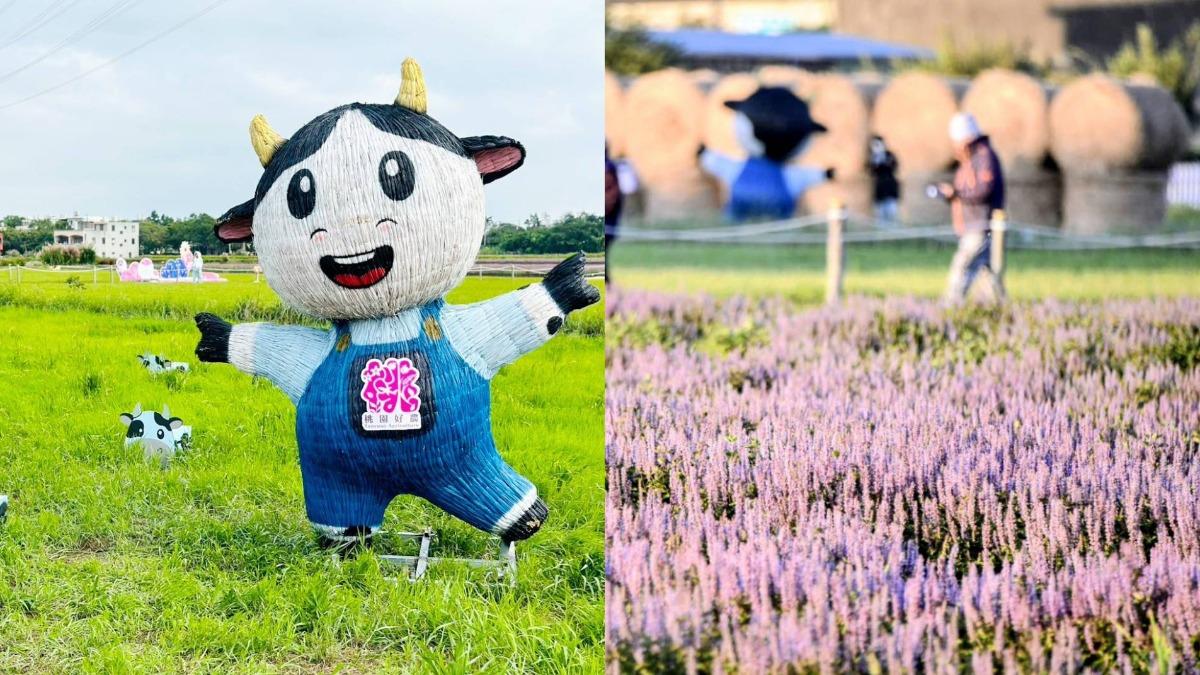 桃園畜產嘉年華結合周邊花海、鐵道藝術節。（圖／桃園市農業局提供）