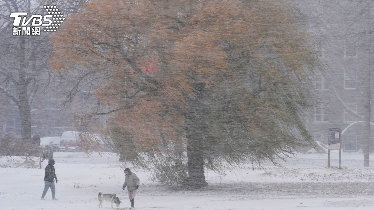 美國中西部與東北部受極地渦旋影響氣溫下降,芝加哥降下大雪不少地方道路被雪覆蓋。(圖/達志影像美聯社)