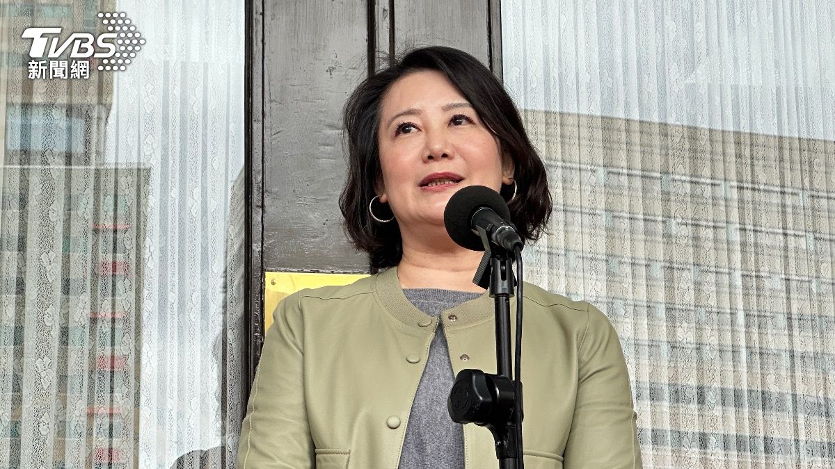 民進黨政策會執行長吳思瑤。(圖/潘袁詩羽攝)