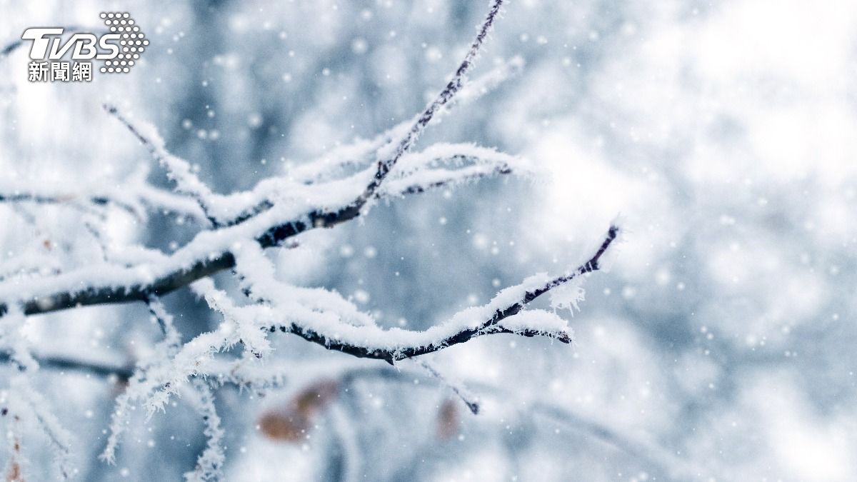 大雪後喜迎「天姚星」!4生肖事業運狂飆 人見人愛等升官加薪