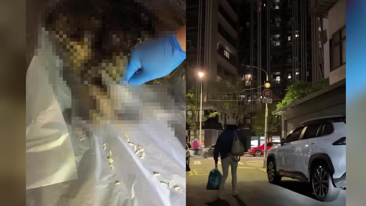 把貓屍當垃圾丟被抓包。(圖/翻攝畫面)