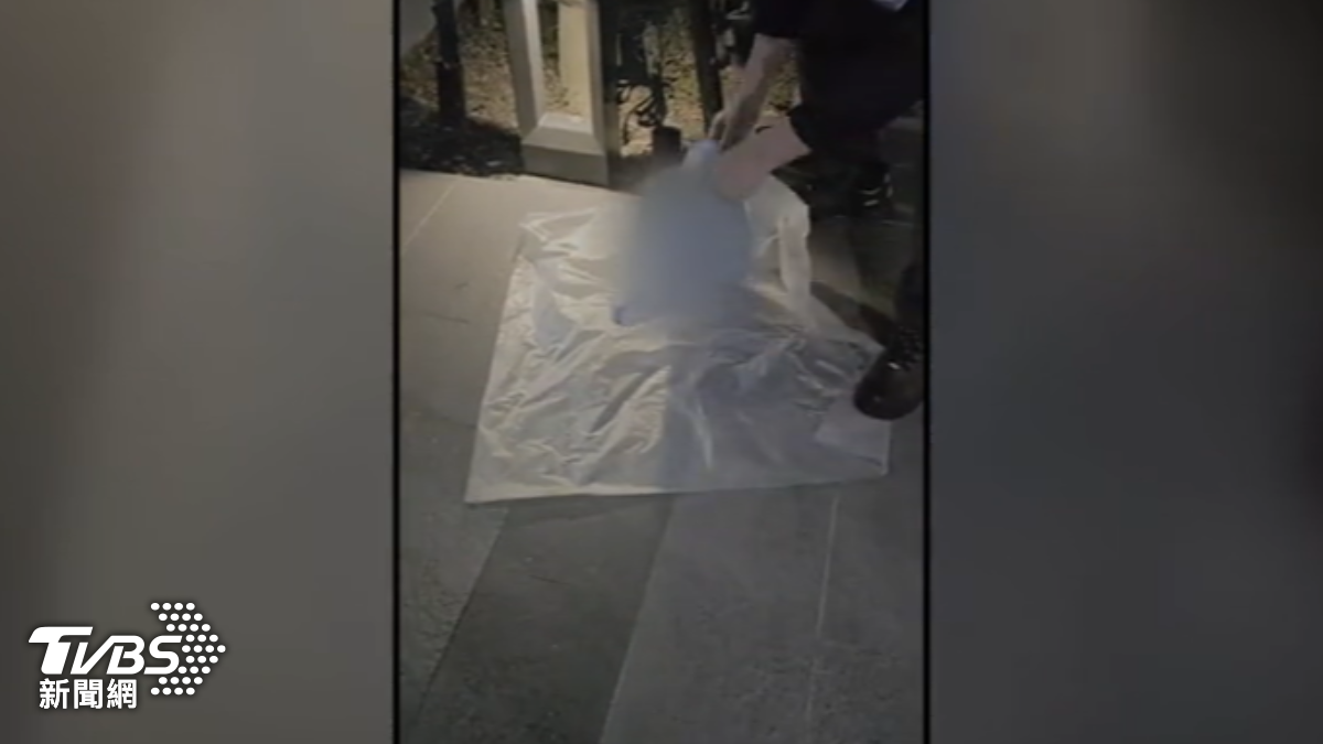民眾在垃圾袋中發現2具貓咪遺骸。(圖/民眾提供)